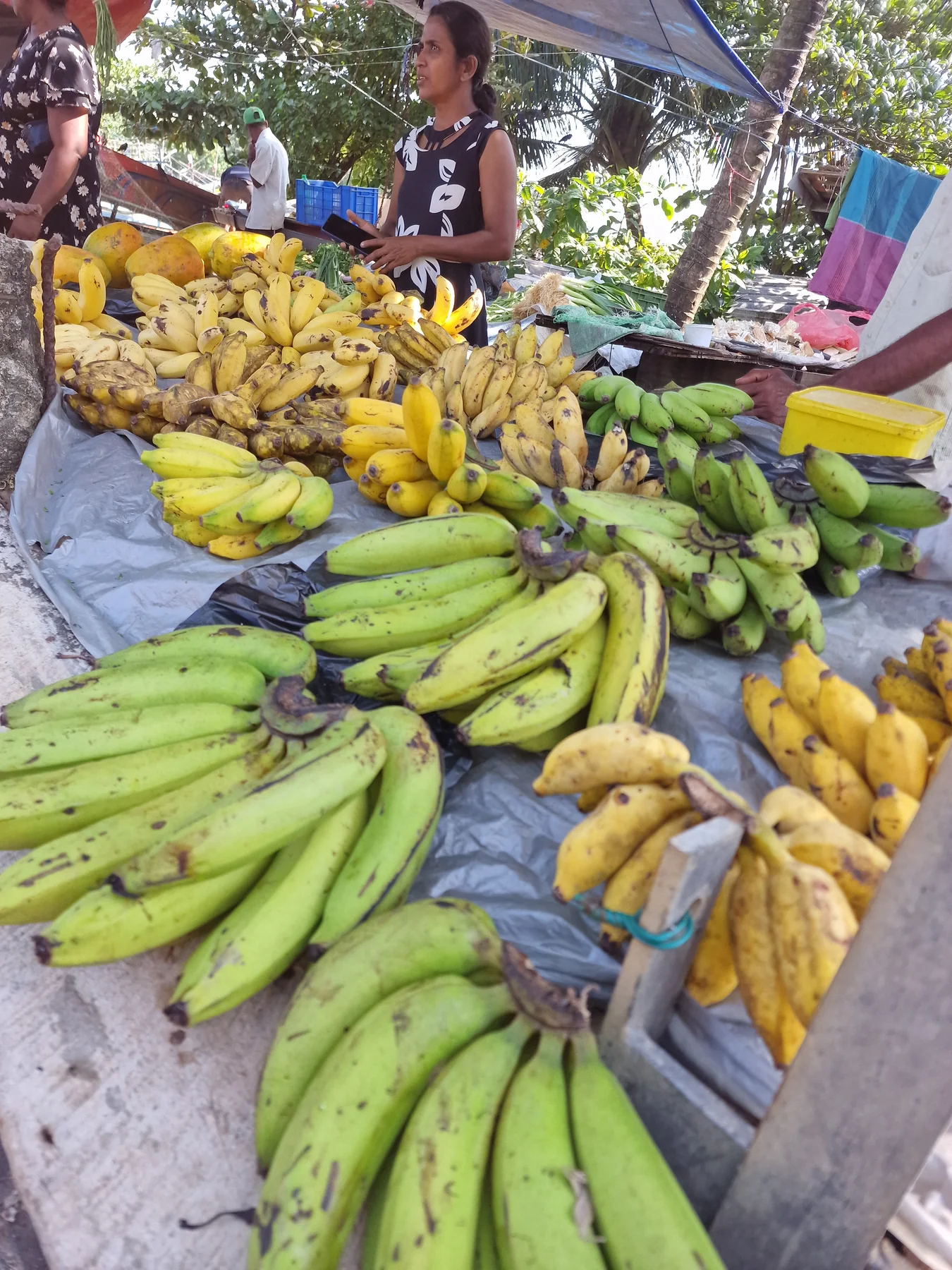 Bananen auf einem lokalen Markt in Sri Lanka
