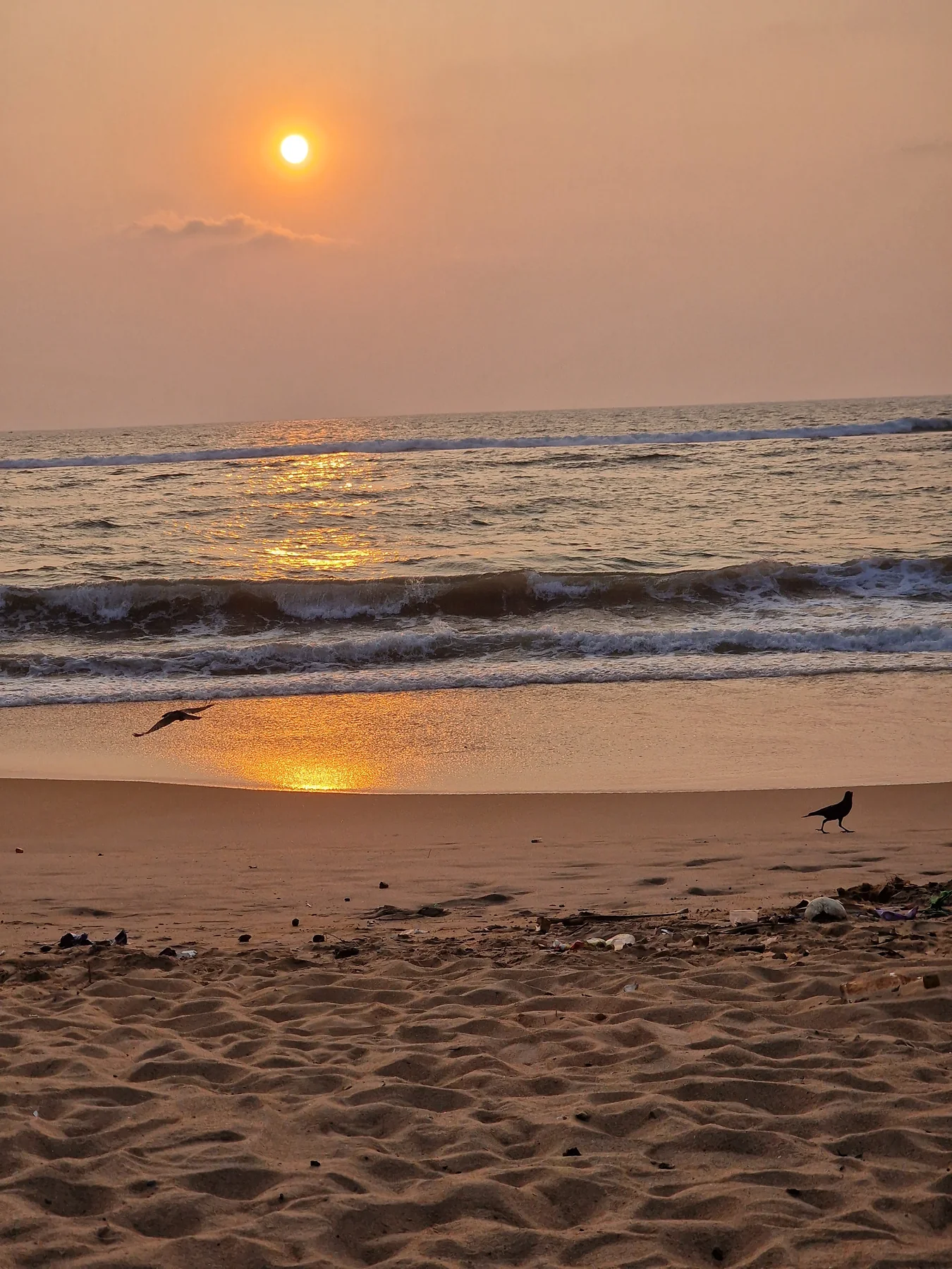 Strand und Sonnenuntergang in Sri Lanka